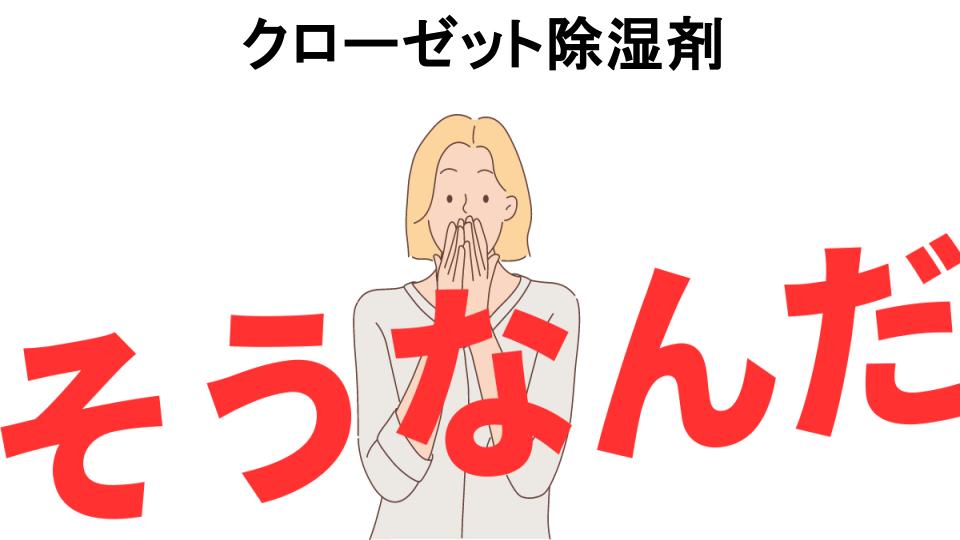 意味ないと思う人におすすめ！クローゼット除湿剤の代わり